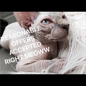 Make me OFFERS!